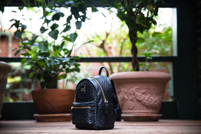 The Crown Collection (Mini) Black Backpack